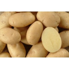 Картофель мытый белый, полипроп. мешок, Россия/Белоруссия
