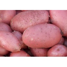 Картофель розовый мытый, полипроп. мешок, Россия/Белоруссия